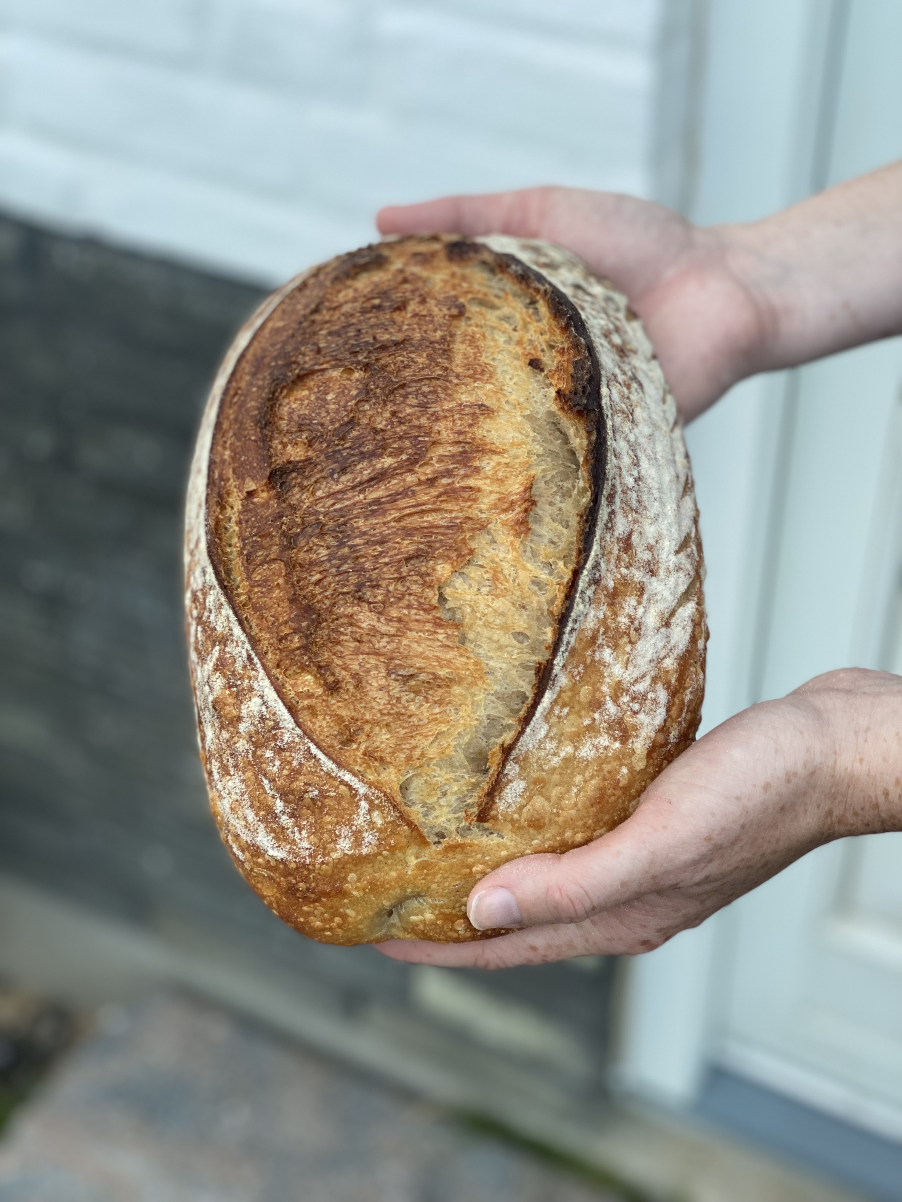 Nordiskbrød