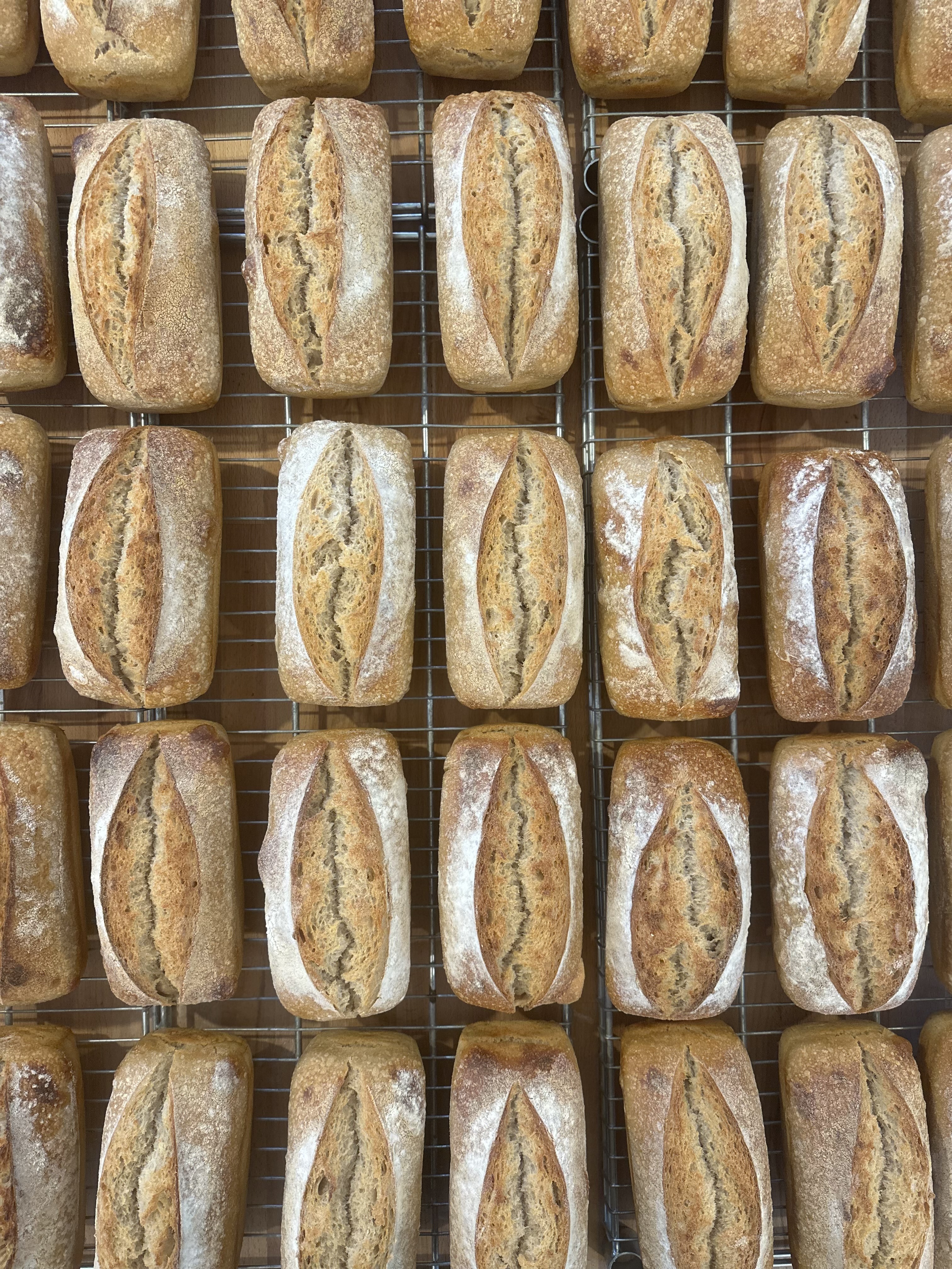 Nordisk Formbrød